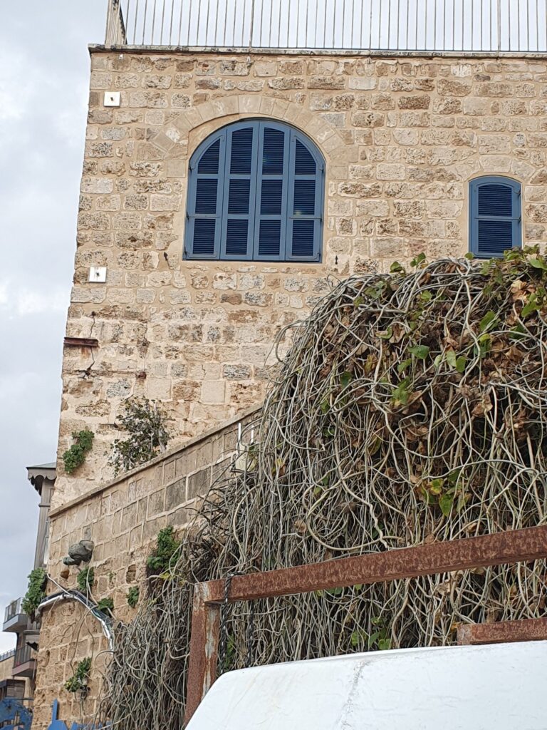 בית האבן בנמל יפו העתיקה בהקשר הרחוב