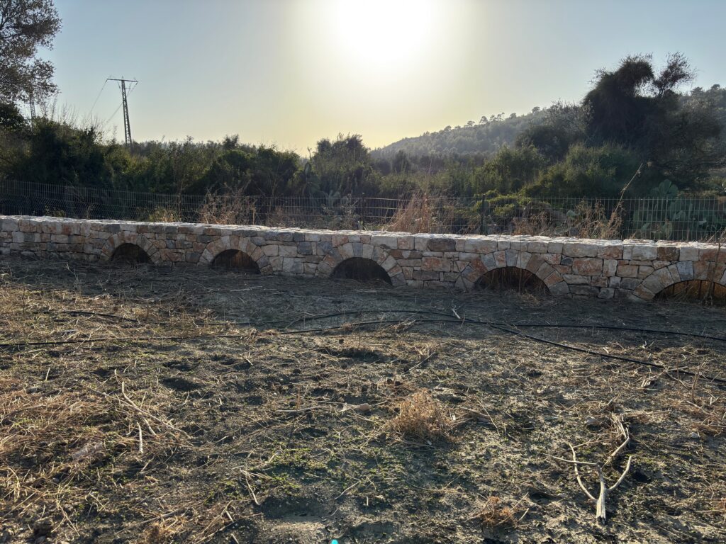 קיר תמך רב-קשתות בבנייה יבשה בשדה, כרם מהר"ל