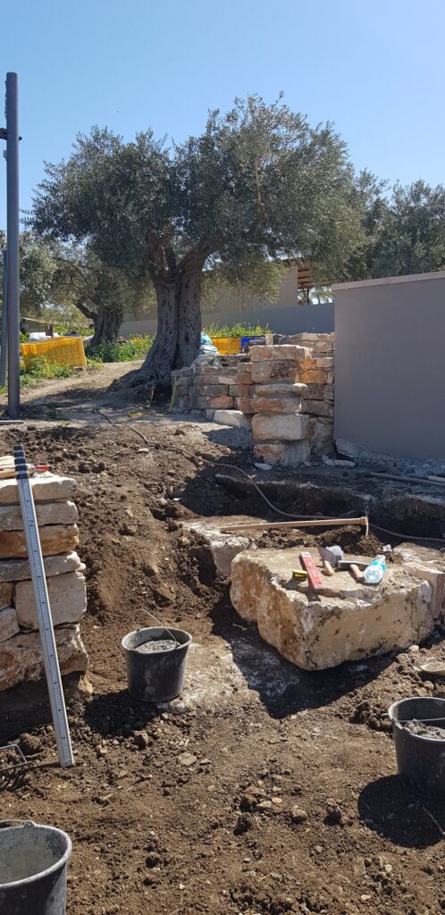 קיר אבן בתהליך בנייה ליד עץ זית תחת הצללה