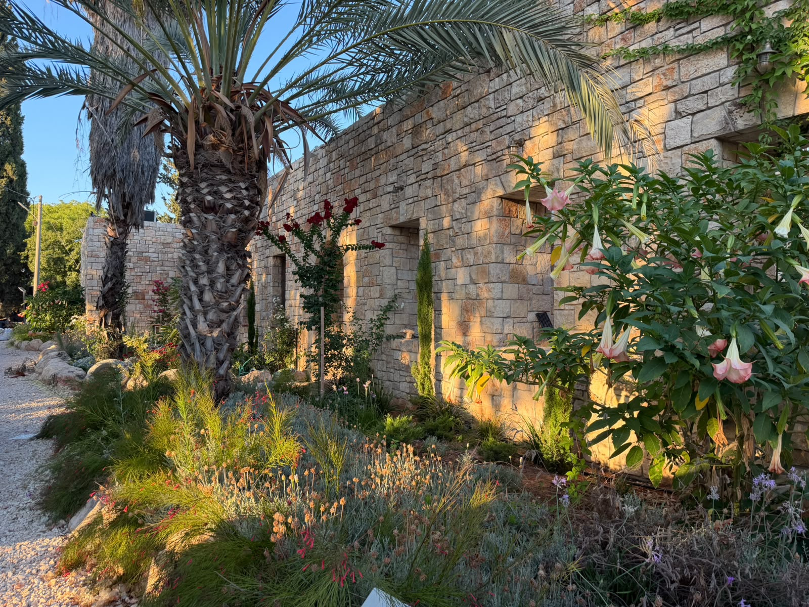 חזית בית האבן במשמר איילון עם דקל וגינה פורחת באור שקיעה זהוב