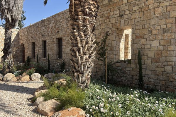 חזית בית האבן עם דקל, שביל חצץ ודלת מקושתת – בית האבן במשמר איילון