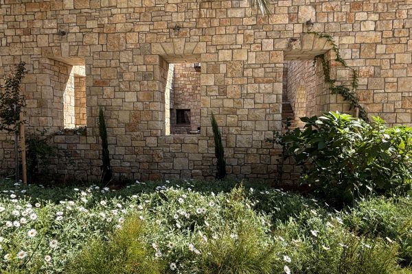 קיר אבן עם שלושה פתחים וגינת מרגניות – בית האבן במשמר איילון