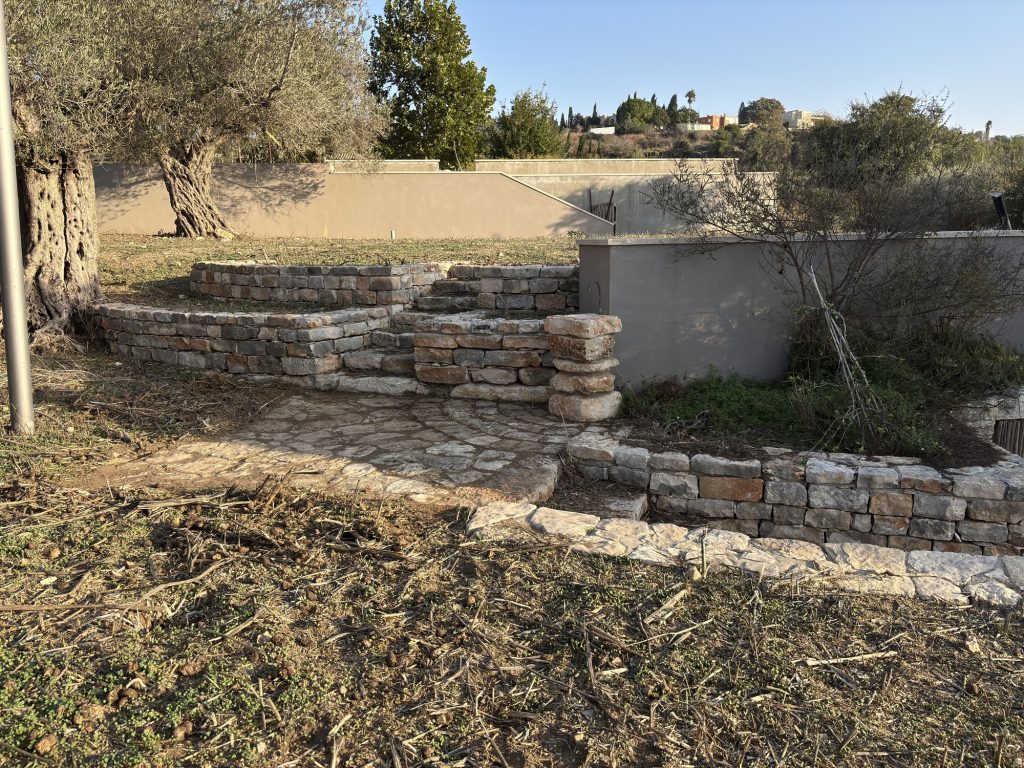מדרגות וטרסות אבן עם ריצוף ועץ זית — פרויקט הנוף בכרם הזיתים