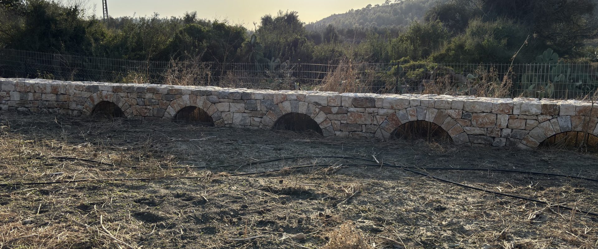 קיר גדר אבן ארוך עם קשתות ניקוז מול נוף גבעות – פרויקט הנוף בכרם הזיתים