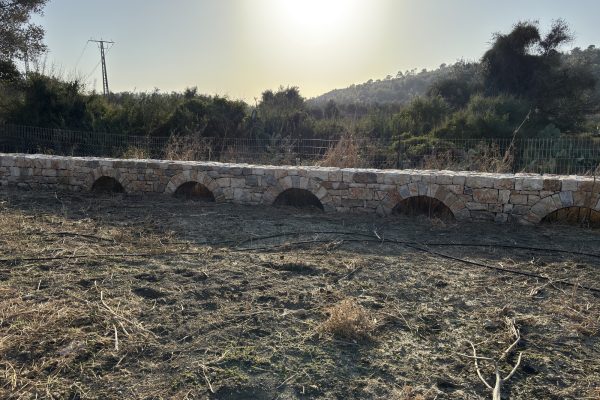 קיר גדר אבן ארוך עם קשתות ניקוז מול נוף גבעות – פרויקט הנוף בכרם הזיתים