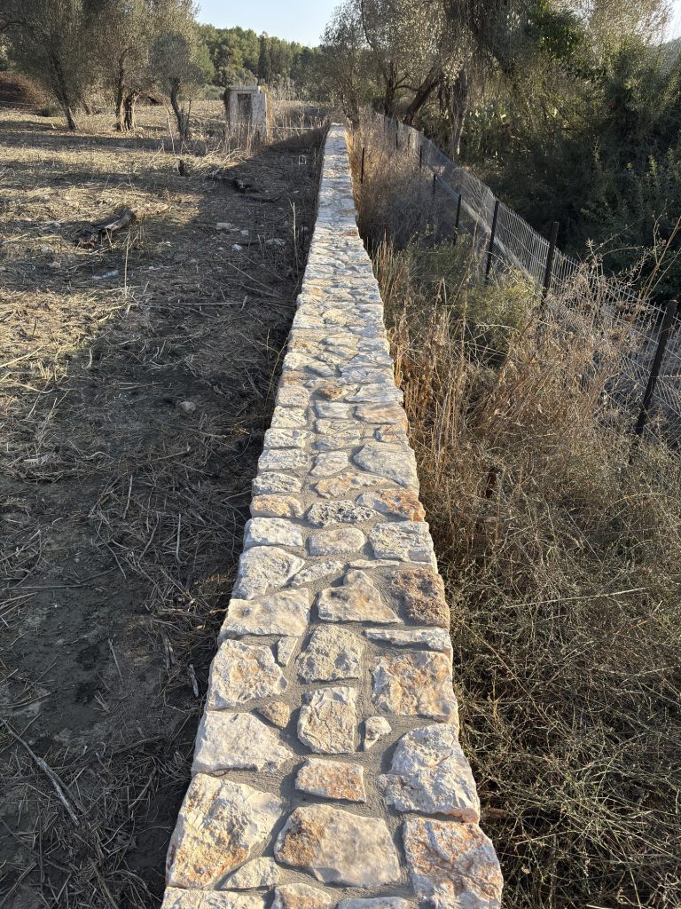 קיר הקשתות בנוף עצי זית בשמש נמוכה — פרויקט הנוף בכרם הזיתים