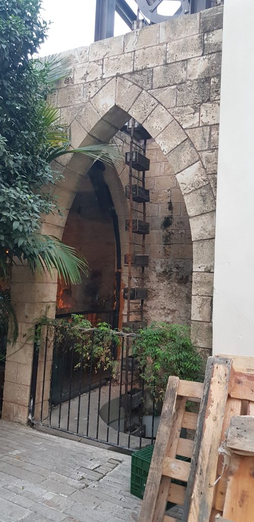 קיר תמך אבן עם נטיעות באור ערב — פרויקט קירות התמך 2023