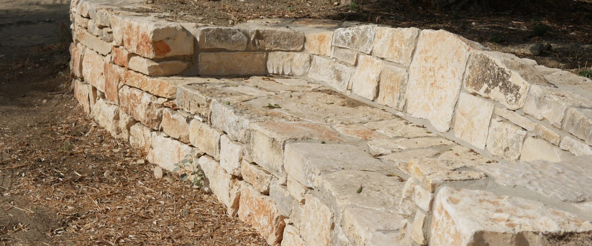 ספסל אבן מעוגל גמור מתחת לעץ זית – פרויקט הקשתות 2022