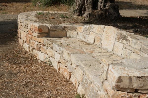 ספסל אבן מעוגל גמור מתחת לעץ זית – פרויקט הקשתות 2022